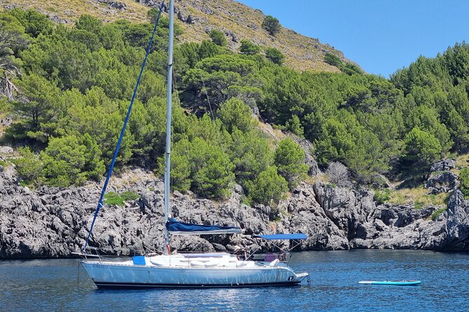 Full-day sailing excursion along the coast - Price and Value: What You’re Really Paying for at About $1,390.78 per Group