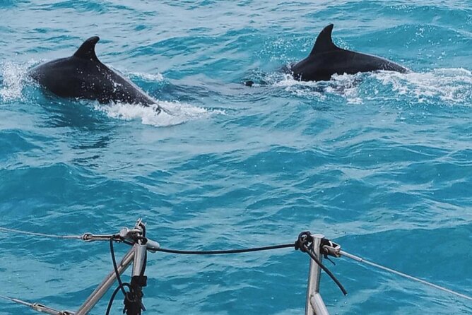 Full Day Sailing Tour Catania-Acitrezza - Snorkeling with provided gear: where you’ll want to be