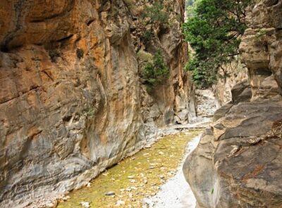 Full-Day Samaria Gorge Chania Guided Tour - Getting from Chania to Omalos: early, organized, and worth it