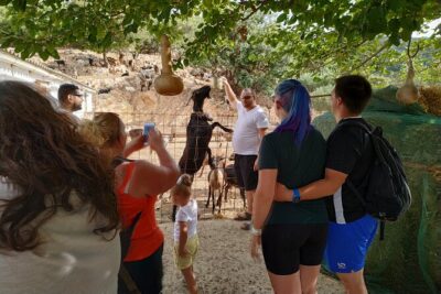 Full-Day Small-Group Tour in Crete with Zeus Cave Visit - Pickup timing, your first seat assignment, and how the day flows