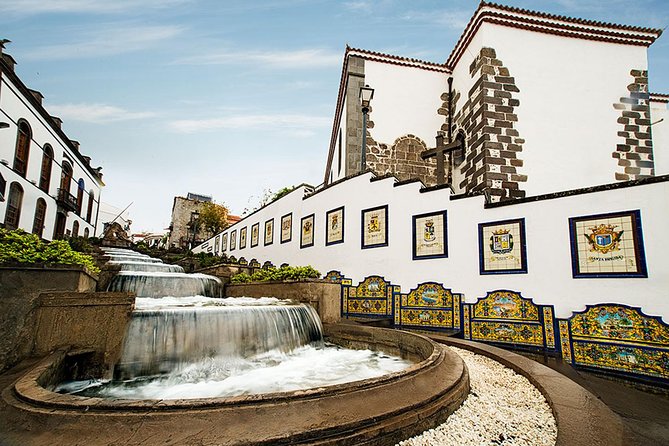 Full-Day Tour Exploring History, Nature and Aloe Vera Farm - Key highlights to look forward to