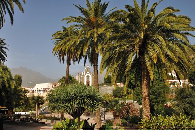 Full-Day Tour Exploring History, Nature and Aloe Vera Farm - Why this Gran Canaria mix actually works
