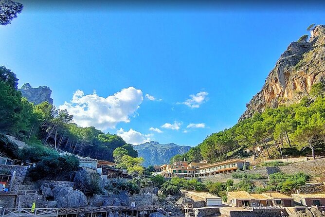 Full Day Tour to the Island of Mallorca - Sóller + the Tram to Port de Sóller: Small Stops, Big Views
