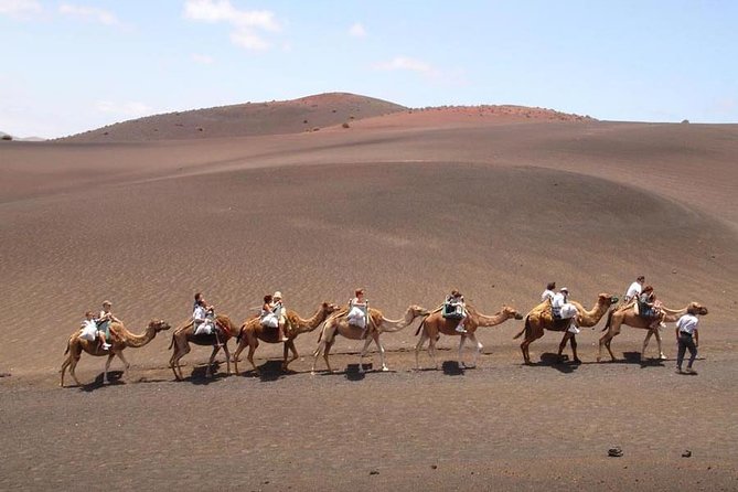 Full Day Tour to Timanfaya, Green Lagoon and La Geria - La Geria Wine Country: A Short Winery Visit in Volcanic Soil
