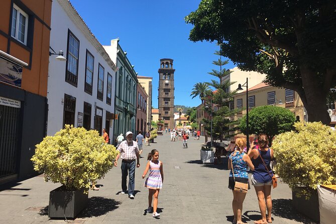 Full day tour visiting Santa Cruz, La Laguna and Anaga - The 8–9 Hours Reality: Timing, Photos, and No Lunch