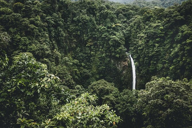 Full Day Tour with Safari Float, Waterfall and Volcano Hike - Key highlights you’ll feel from the start