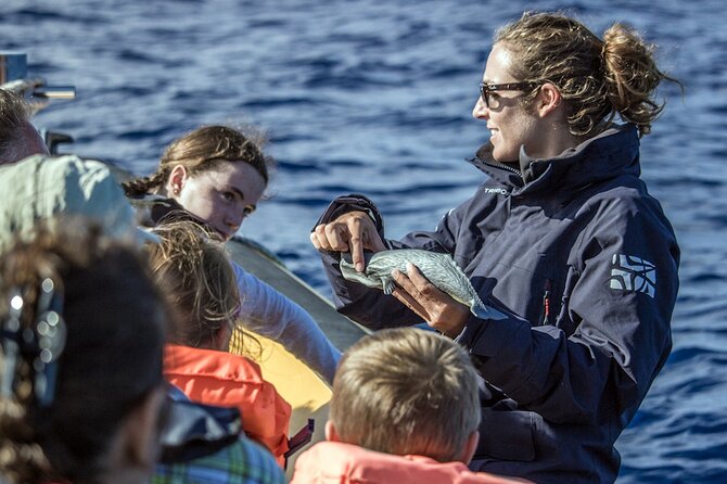 Full-Day Whales & The Princess Ring Islet (incl. Lunch) - Lunch at 11:30: included, but don’t assume it’s fancy