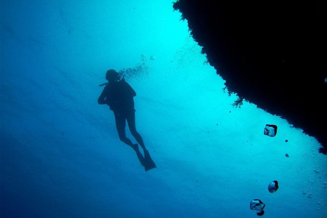 (Full day)Scuba Diving in Rhodes - The main underwater session: short by design, safer by focus