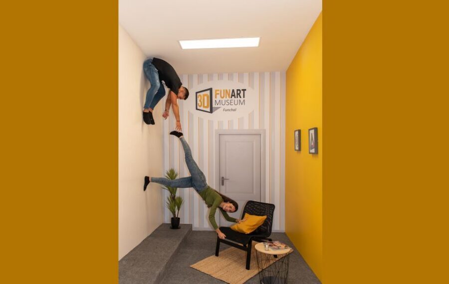 Funchal: 3D Fun Art Museum - 40 Optical-Illusion Scenarios: From Safari to Dinosaur Pet