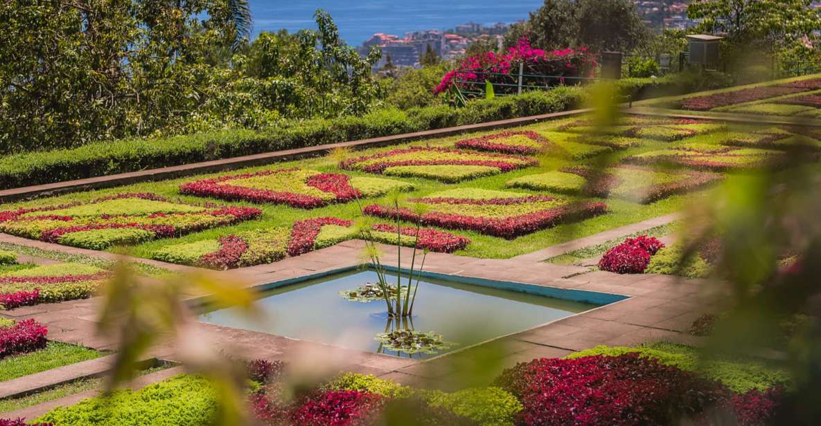 Funchal: Botanical Garden and Old Town Private Tuk-Tuk Tour - Why this tuk-tuk route fits Funchal’s steep old streets