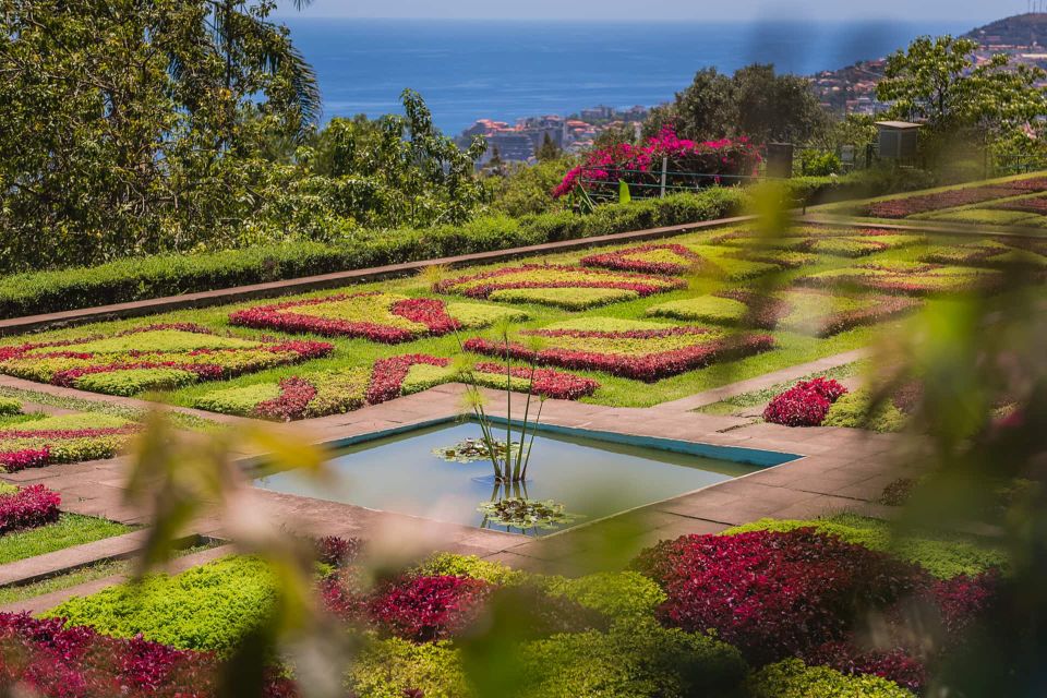 Funchal: Botanical Garden and Old Town Private Tuk-Tuk Tour - Botanical Garden in Bom Sucesso: time for photos, then time to wander