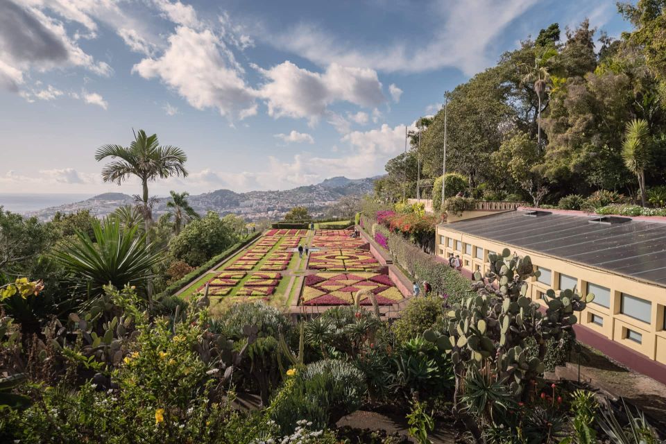 Funchal: Botanical Garden and Old Town Private Tuk-Tuk Tour - The ride back through Funchal: keeping the fun going