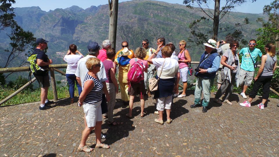 Funchal: Cabo Girão, Wines Tasting and Dolphins Watching - Catamaran Dolphin Watching: Three Hours Off Madeira’s South Coast