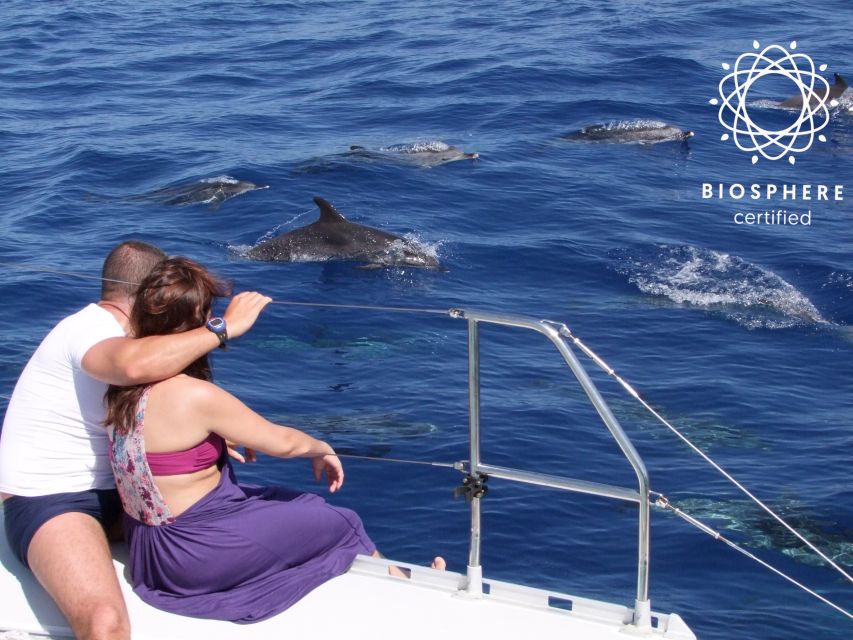 Funchal: Cabo Girão, Wines Tasting and Dolphins Watching - The Open-Roof 4x4: Real Madeira Roads, Not a Smooth Bus Tour