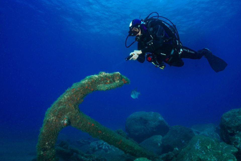 Funchal: Certified Scuba Diving, Guided Tour - Eco Park Funchal and the Atlantic shoreline