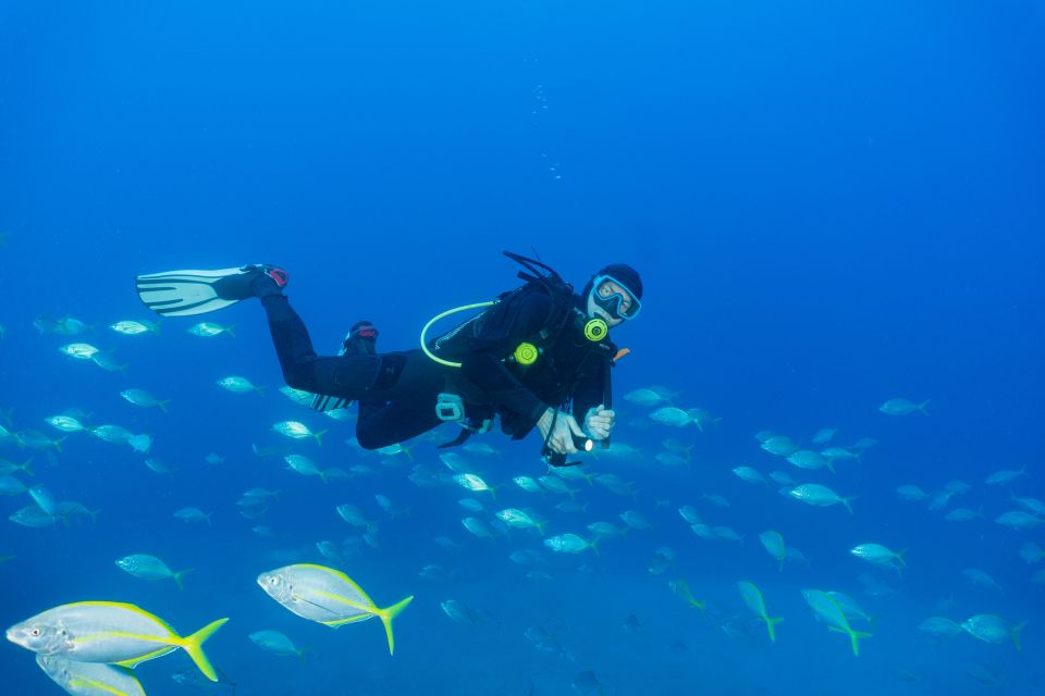 Funchal: Certified Scuba Diving, Guided Tour - Depth, wreck possibilities, and what level this suits