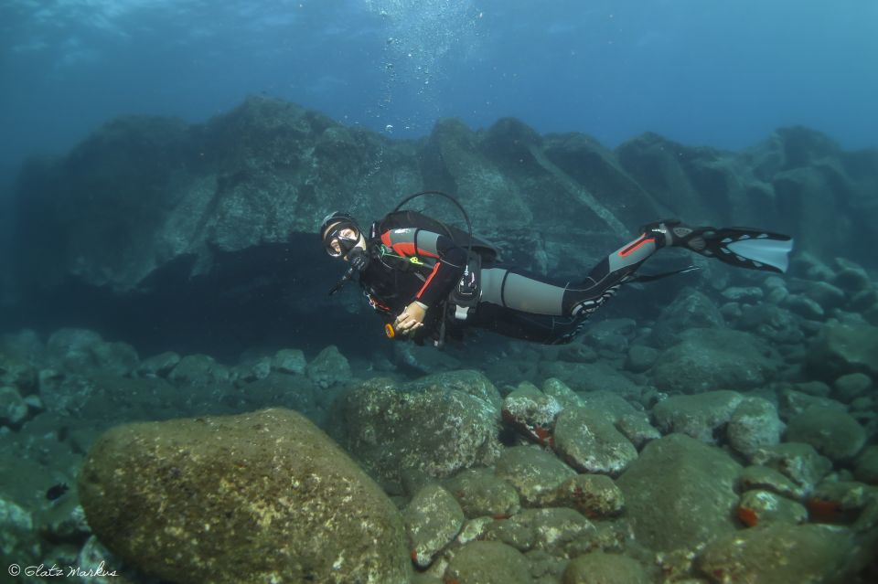 Funchal: Certified Scuba Diving, Guided Tour - Where you meet and how the first 30 minutes work