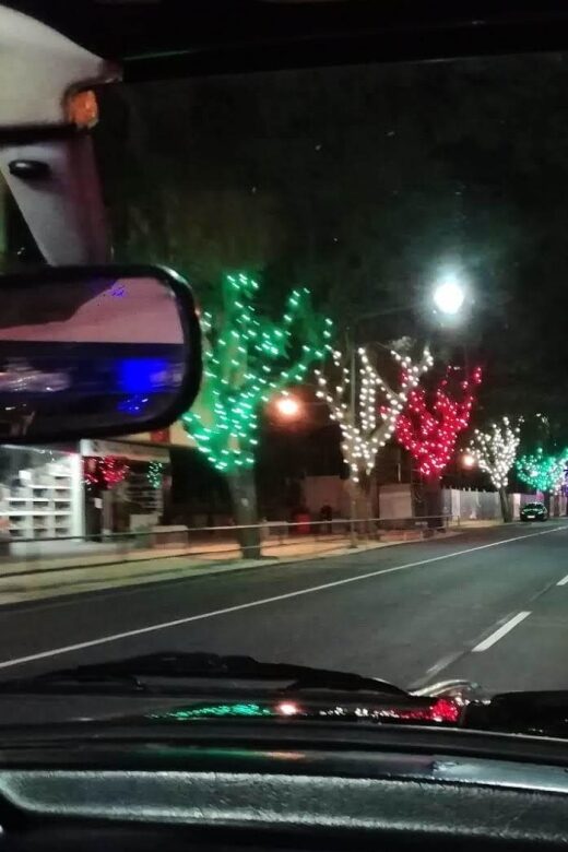 Funchal: Christmas Lights Sightseeing Night Tour - Price and value: why $41 can make sense in Funchal