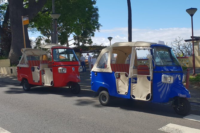 Funchal City Tour + Old Town - The Museum and Cathedral Stops: Culture, Then Context