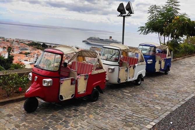Funchal City Tour + Old Town - Market Time: Seasonal Color, Everyday Madeira Life