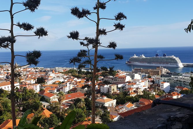 Funchal City Tour + Old Town - Who This Tour Fits Best (And Who Might Want Something Else)