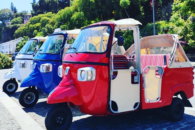 Funchal City Tour + Old Town - Pickup Point Reality: Where to Start and What to Expect