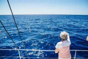 Funchal: Dolphin and Whale Watching by Luxury Catamaran - Cabo Girão: Why This Sea Cliff Is the Real Star Even Before Wildlife