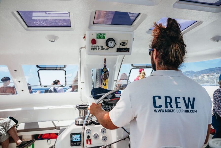 Funchal: Dolphin and Whale Watching by Luxury Catamaran - The Swim Stop at Cabo Girão: Summer Fun With a Real Schedule Catch