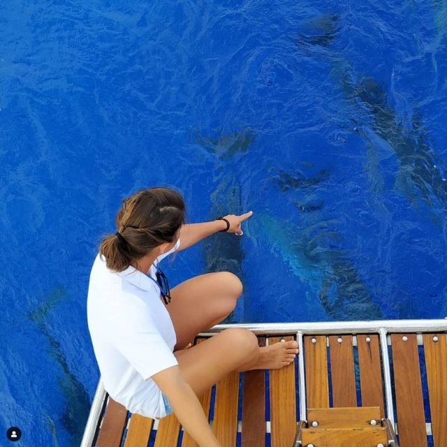Funchal: Dolphin and Whale Watching Sailing Trip - Cabo Girão: the swim and snorkeling stop with included gear