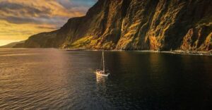 Funchal: Dolphin and Whale Watching Sunset Sailing Tour - Boarding the yacht: what the first 30 minutes feel like