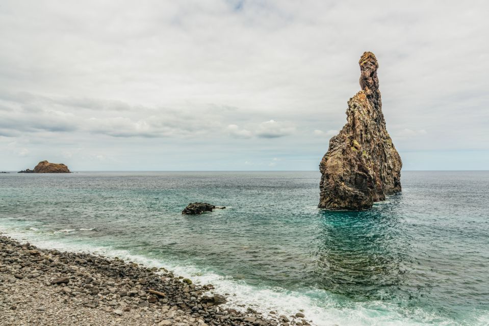 Funchal: Enchanted Terraces, Porto do Moniz & Fanal 4WD Tour - The Extra Stops That Make the Route Feel Like Real Madeira