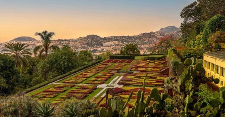 Funchal: Guided Old Town Tuk Tuk Tour and Botanical Gardens - Quick takeaways