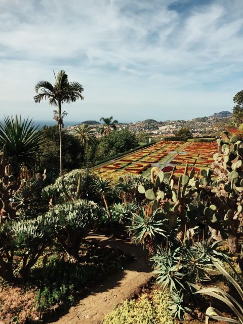 Funchal: Guided Old Town Tuk Tuk Tour and Botanical Gardens - Portuguese Roots and Rua Ferrnão Ornelas Backstreets