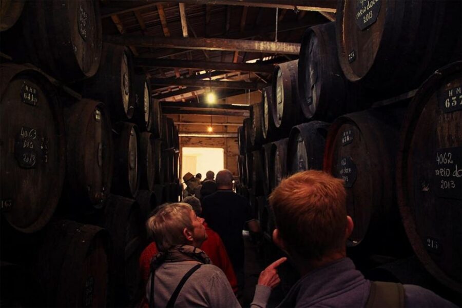 Funchal: H.M. Borges Winery Guided Tour with Wine Tasting - Entering H.M. Borges in Funchal’s Madeira-wine world