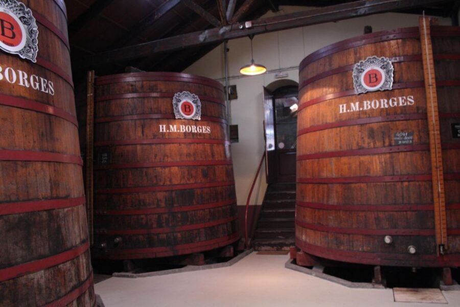 Funchal: H.M. Borges Winery Guided Tour with Wine Tasting - Pacing, group size, and what to expect from your guide