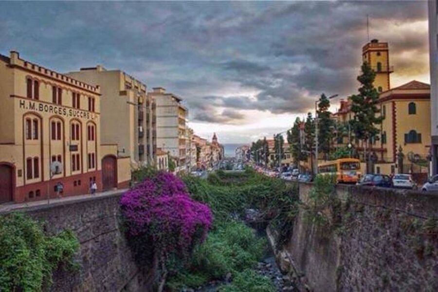 Funchal: H.M. Borges Winery Guided Tour with Wine Tasting - Should you book H.M. Borges in Funchal?
