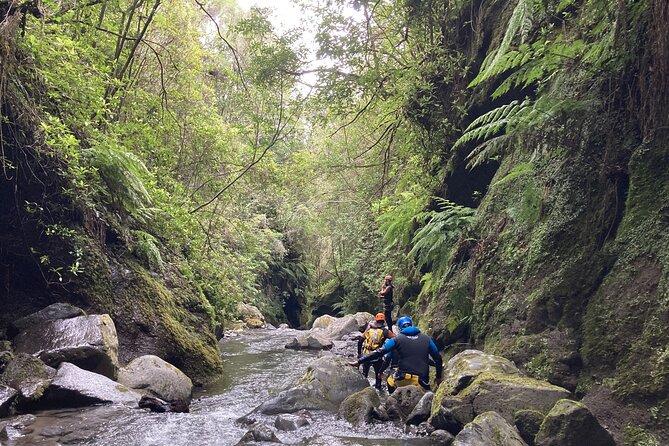 Funchal: Half-day Beginners Canyoning - Stop 1 at Lokoloko (Caniço): where you get set up