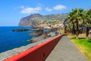 Funchal: Hop-On Hop-Off Bus Tour - Ticket Choices: 24 Hours, 48 Hours, or a 5-Day Pass