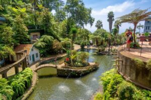 Funchal: Monte Palace Tropical Gardens Tuk Tuk Tour - The viewpoint and old town stops: where the photos start making sense