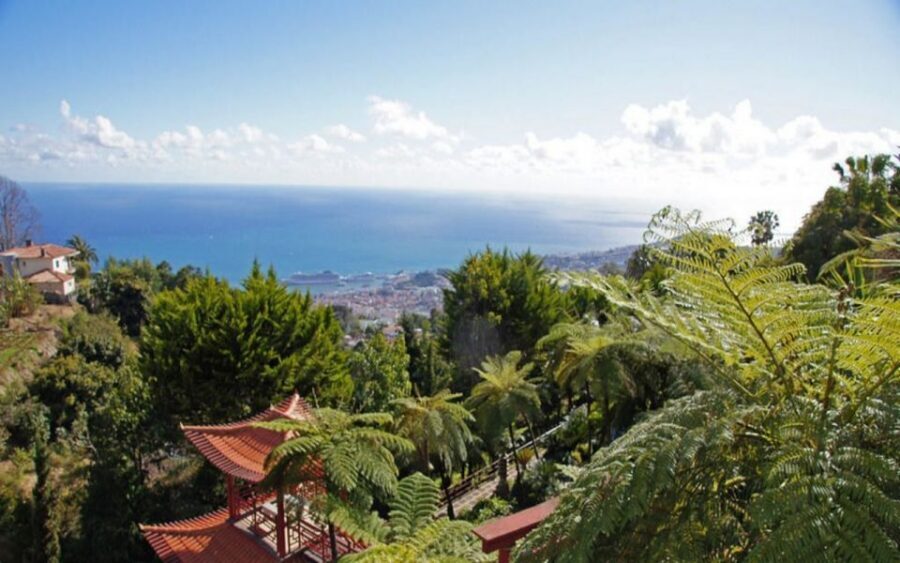 Funchal: Monte Palace Tropical Gardens Tuk Tuk Tour - That church stop before Monte Palace