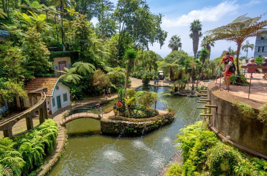 Funchal: Monte Palace Tropical Gardens Tuk Tuk Tour - The viewpoint and old town stops: where the photos start making sense