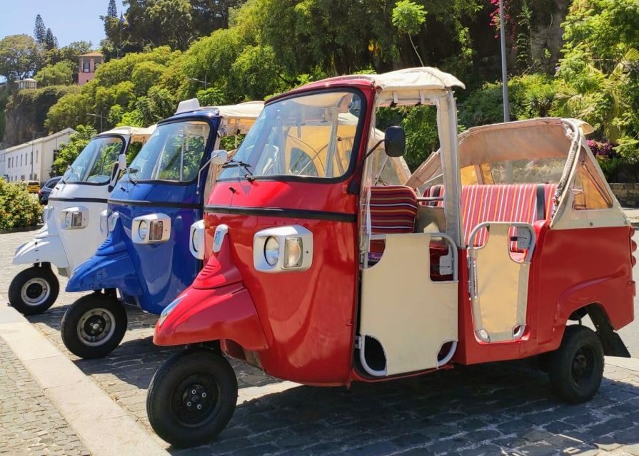 Funchal: Monte Toboggan and Old Town Tour by Tuk-Tuk - Should you book this Monte Toboggan and Old Town tuk-tuk tour?