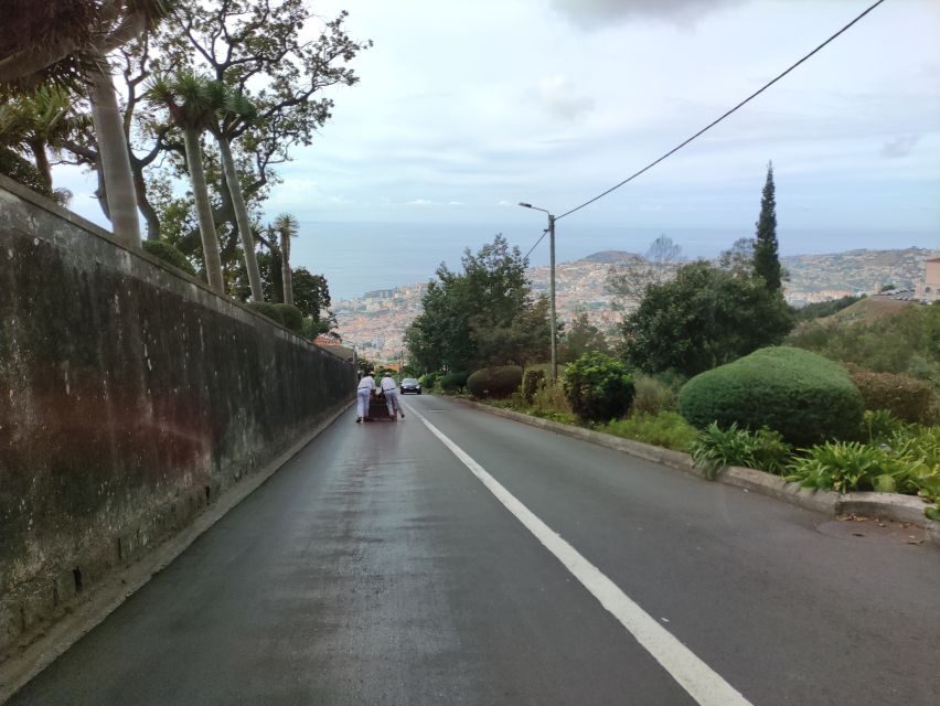 Funchal: Monte Toboggan and Old Town Tour by Tuk-Tuk - Monte climb to 585 meters: scenic fun with a real altitude feel