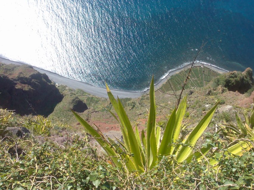 Funchal: Nuns Valley Half Day Tour - Guides and pacing: the real difference-maker