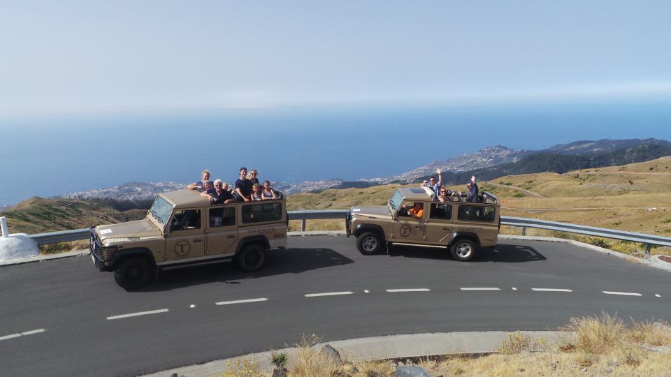 Funchal: Pico Arieiro, Cristo Rei and Dolphins Watching - Price and value: is $104 per person a fair deal?