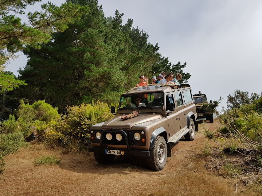 Funchal: Pico Arieiro, Cristo Rei and Dolphins Watching - The drive to Santo da Serra: off-road, open-roof, and forest shades