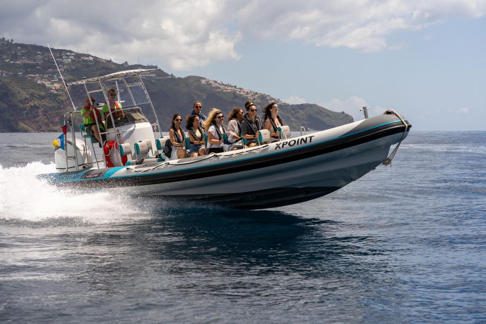 Funchal: RIB Whale Watching Cruise and Optional Dolphin Swim - Key things to know before you go
