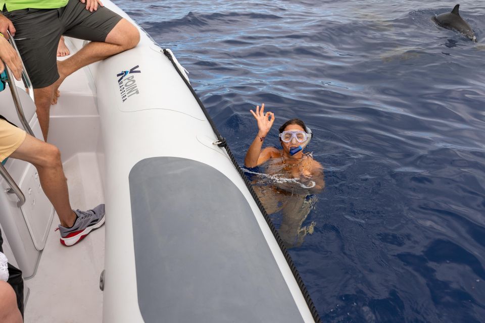 Funchal: RIB Whale Watching Cruise and Optional Dolphin Swim - Funchal’s RIB Ride: Fast, Small-Group Ocean Time