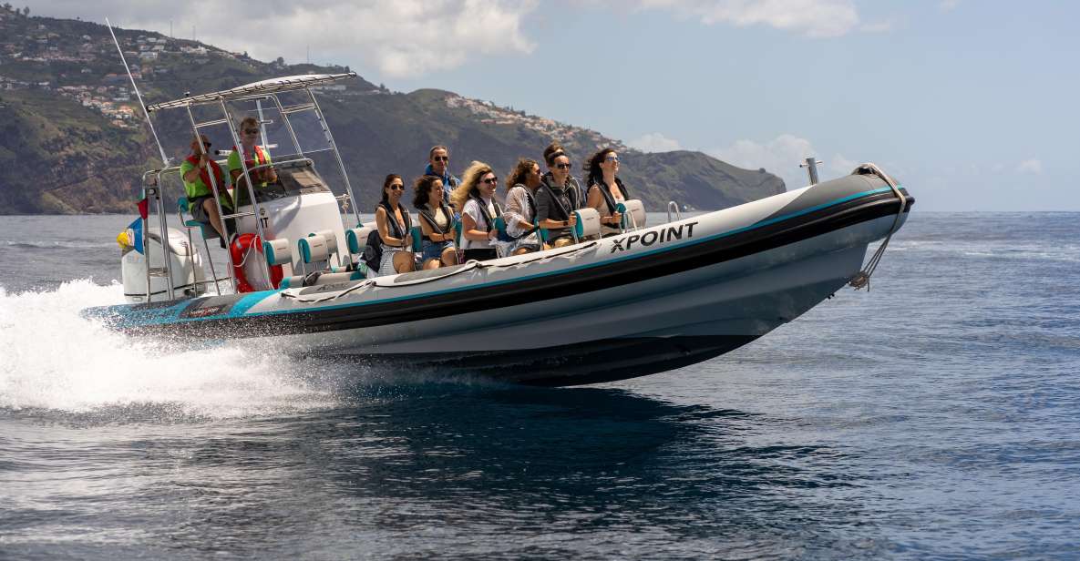 Funchal: RIB Whale Watching Cruise and Optional Dolphin Swim - Madeira Coastal Views and the Cabo Girão Photo Stop
