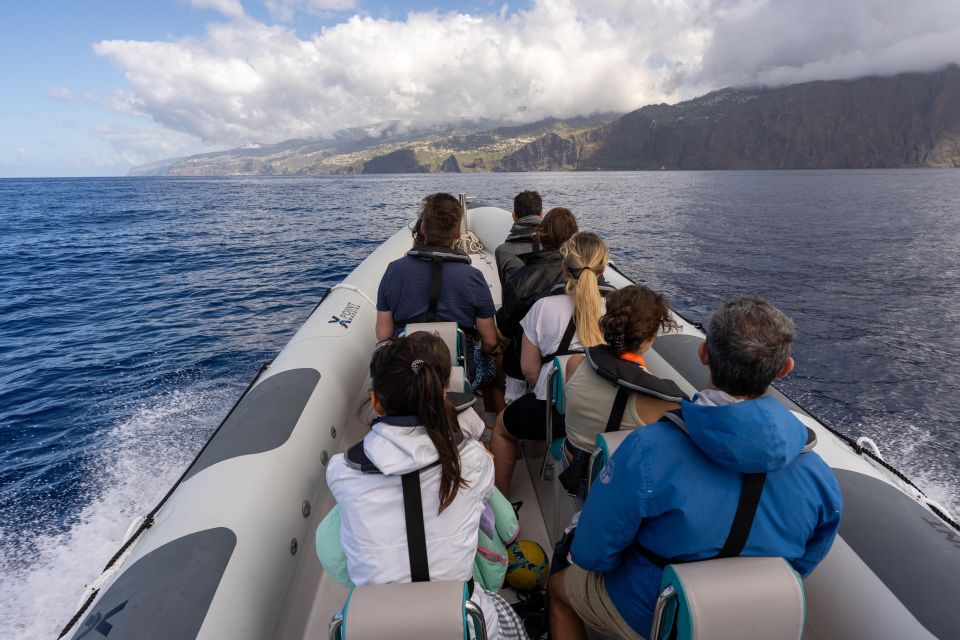 Funchal: RIB Whale Watching Cruise and Optional Dolphin Swim - Price and Value: Why This $61 Tour Can Feel Like a Deal